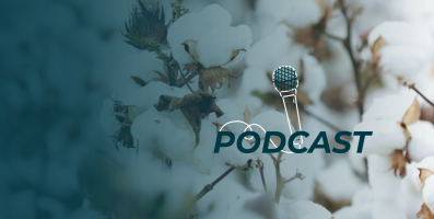 podcast tile
