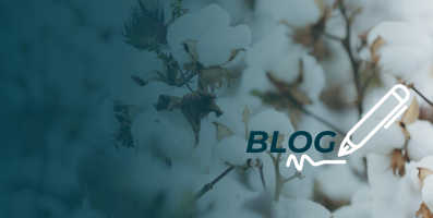 BLOG TILE
