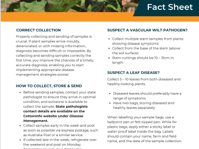 Fact sheet