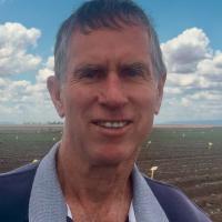 Graham