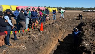 Soils Workshop EMD