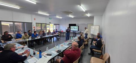 CQ cotton catch up