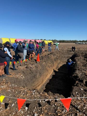 Soils Workshop EMD